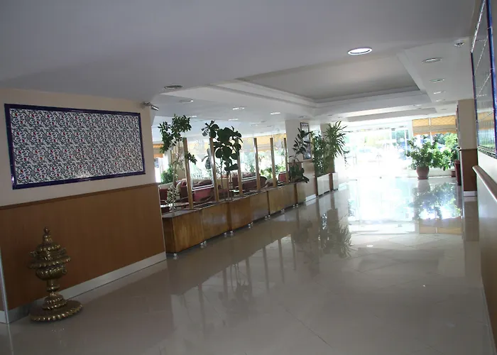 比尔卢库酒店 3*